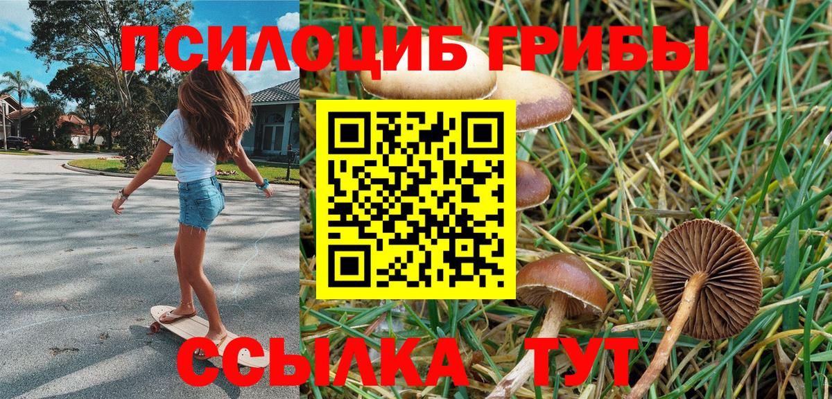 Гулькевичи  Псилоцибиновые грибы GOLDEN TEACHER  Вход с VPN 