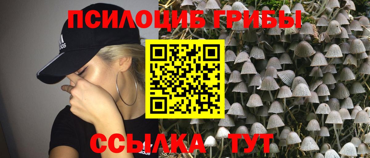 Галлюциногенные грибы мицелий Гулькевичи